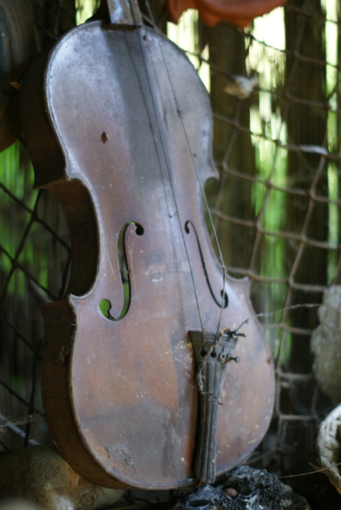 DSC02608