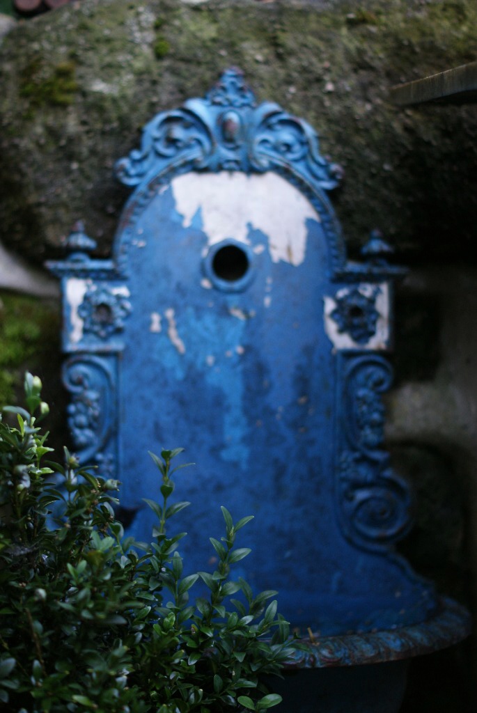 DSC02736