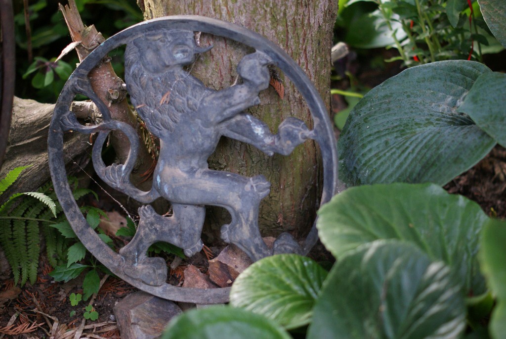 DSC03001